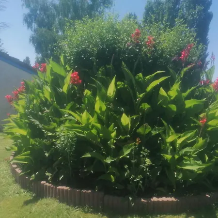 La Belle Epoque Le Fouilloux