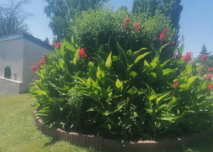 La Belle Epoque Le Fouilloux